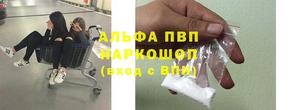 Альфа ПВП Аркадак