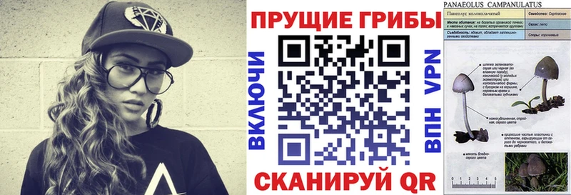 Галлюциногенные грибы Cubensis  Опочка 